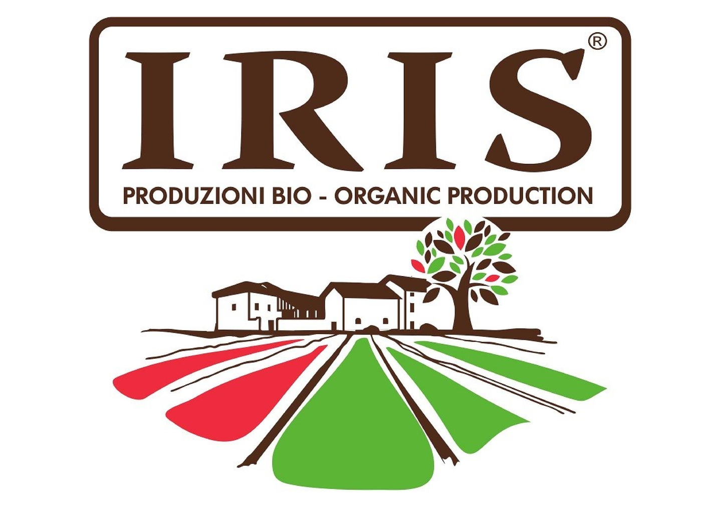 IRIS Bio Penne made from organic durum wheat semolina
