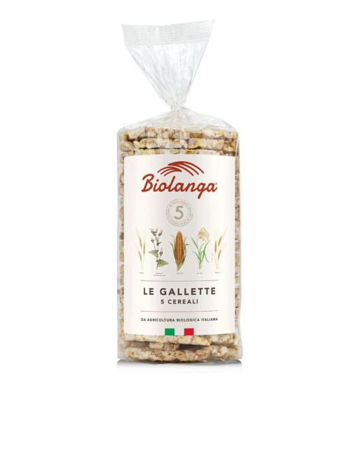 Gallette 5 cereali bio 100 g