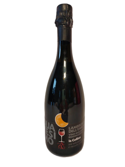 Lambrusco dell'Emila Frizzante biodinamico IGT