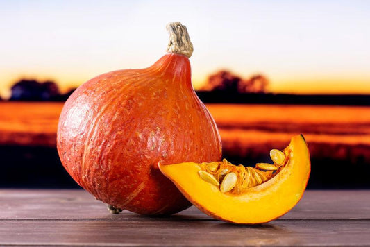 Bio IRIS Hokkaido pumpkin