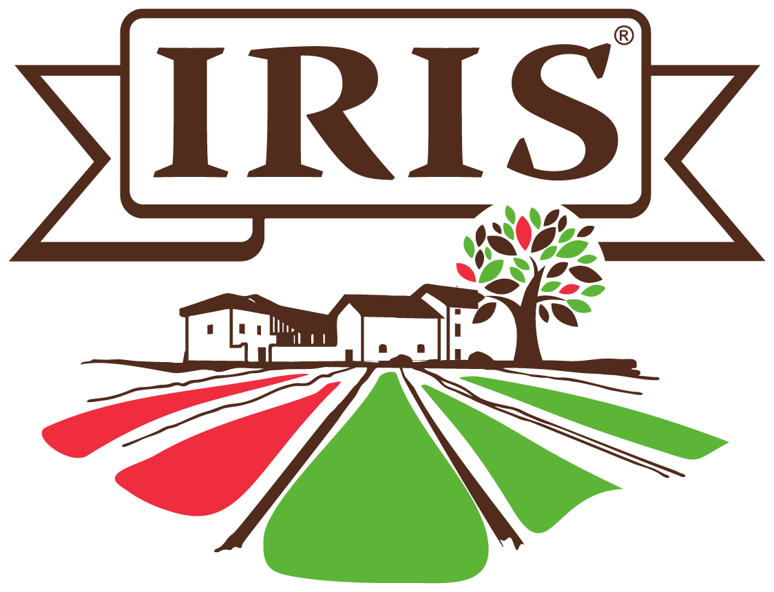 IRIS Bio Wholemeal spaghetti made from organic CAPPELLI durum wheat semolina